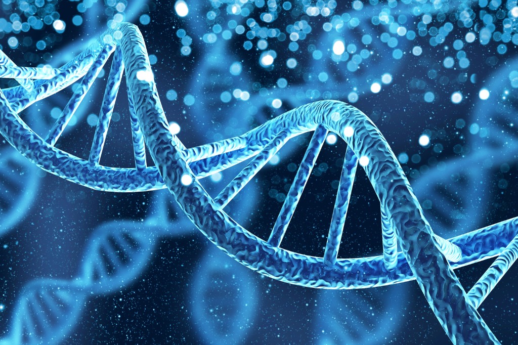 DNA Analysis DNA Analysis