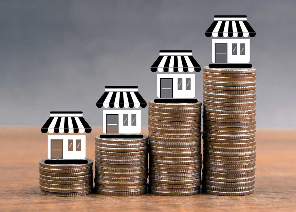 Invest in BlueSage Inc Invest in BlueSage Inc